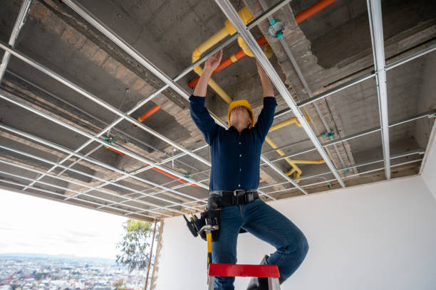 Best Sprinkler Systems  in Arbury Hls, IL