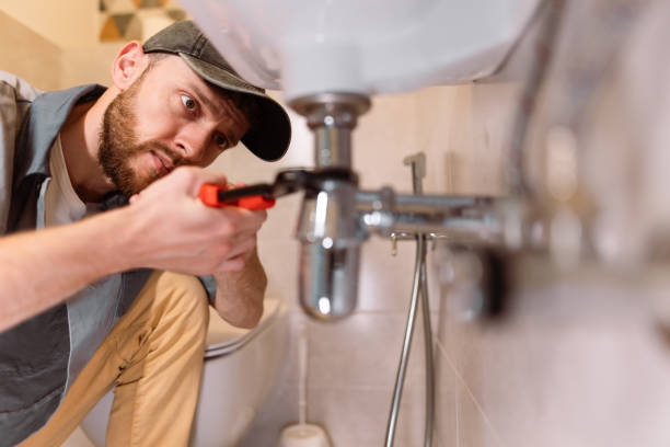 Best Toilet Repair Services  in Arbury Hls, IL