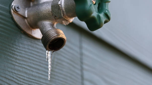 Best Residential Plumbing Services  in Arbury Hls, IL